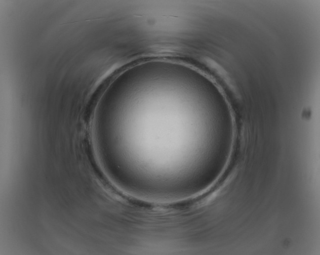 X0000092311449200709281337