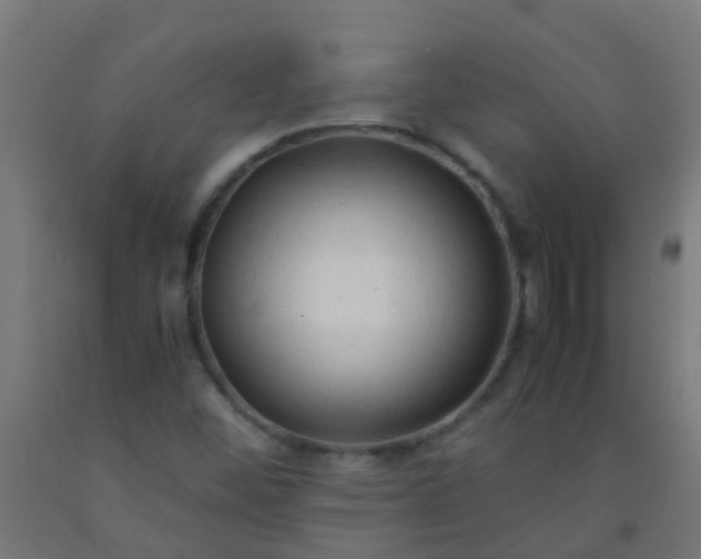 X0000092311452200709281337