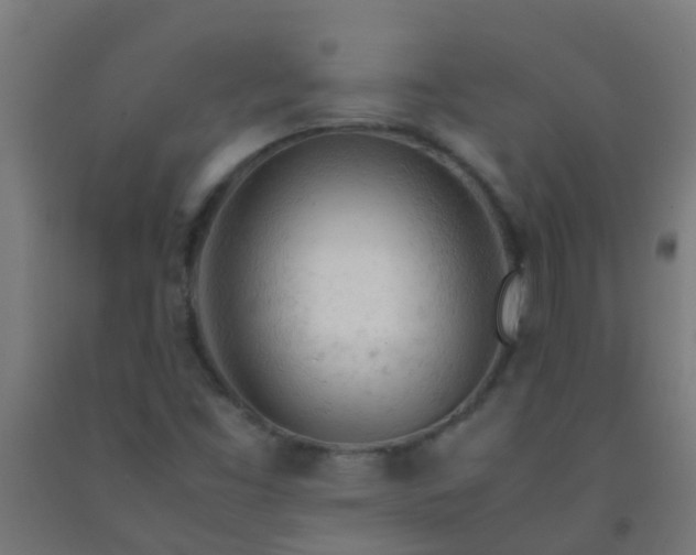 X0000092311453200709281337