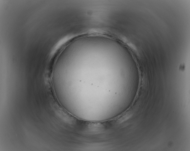 X0000092311454200709281337