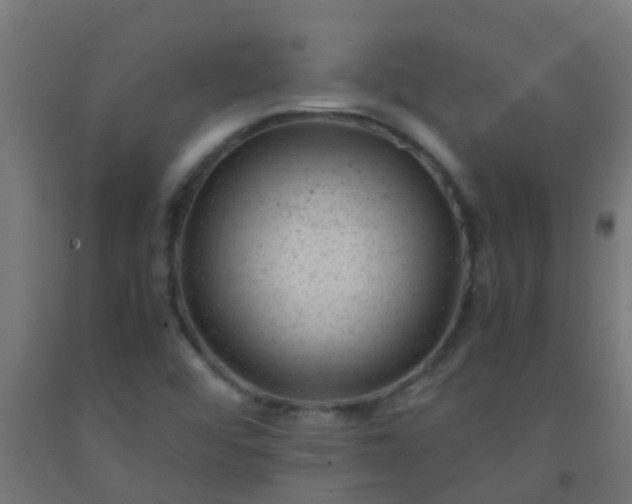 X0000092311456200709281337