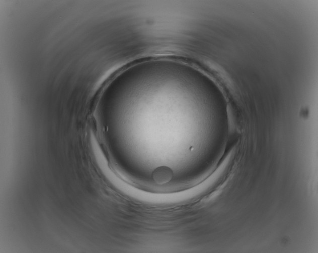 X0000092311457200709281337