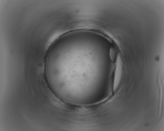 X0000092311459200709281337