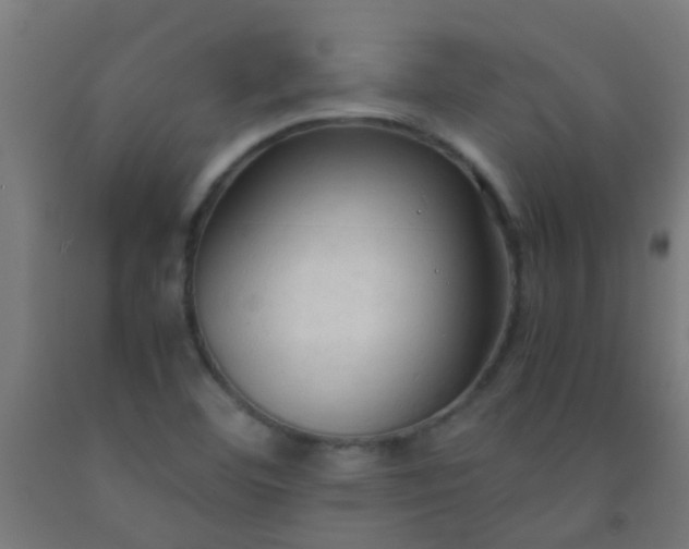 X0000092311460200709281337