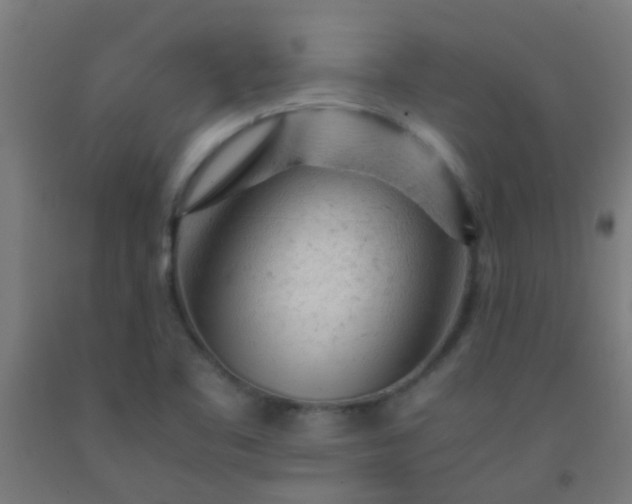 X0000092311461200709281337