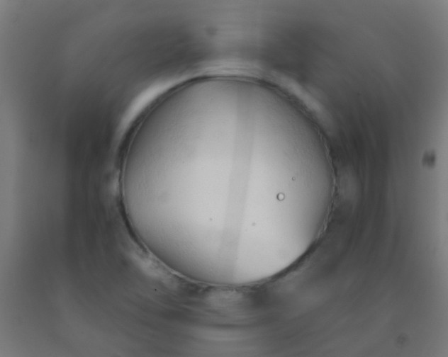 X0000092311462200709281337