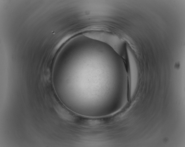 X0000092311465200709281337