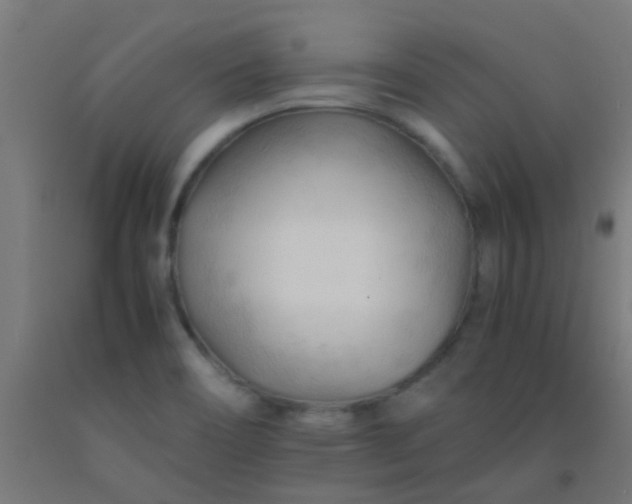 X0000092311466200709281337