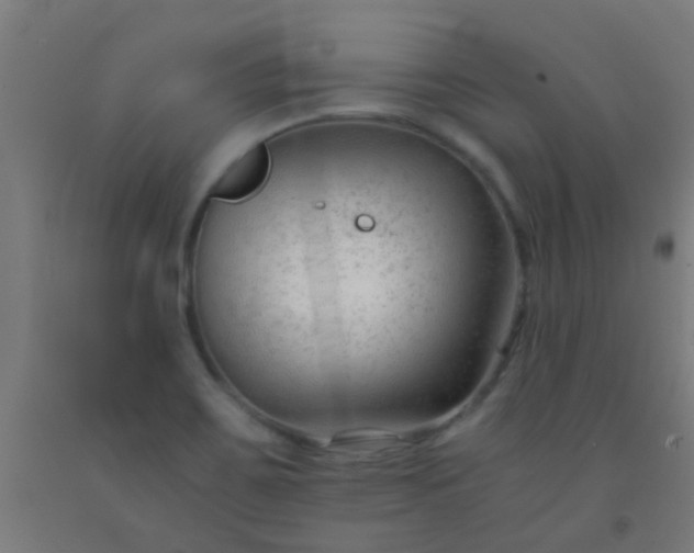 X0000092311467200709281337