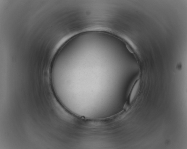 X0000092311468200709281337
