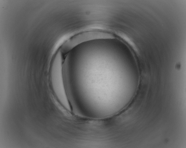 X0000092311469200709281337