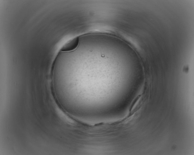 X0000092311471200709281337