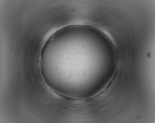 X0000092311472200709281337