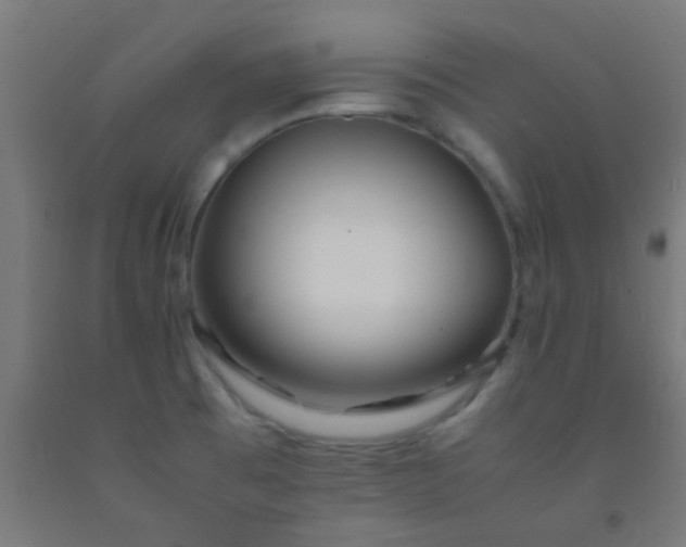X0000092311473200709281337
