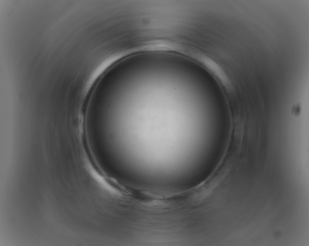 X0000092311476200709281337