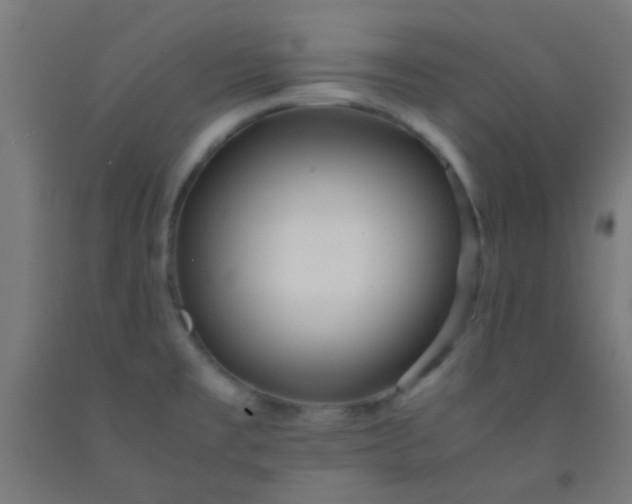 X0000092311477200709281337