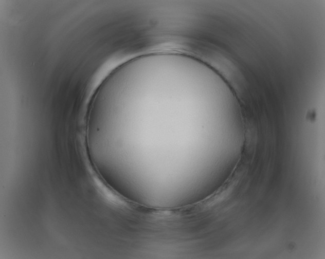 X0000092311478200709281336