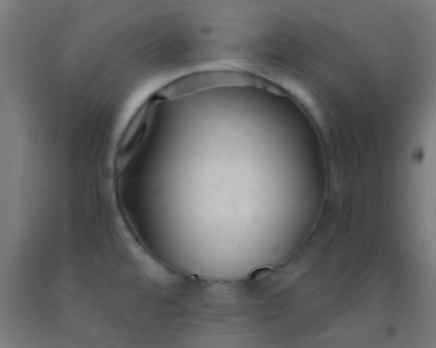 X0000092311480200709281336