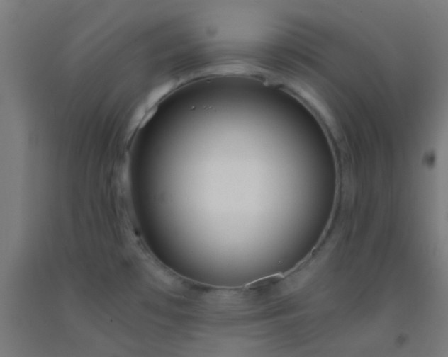 X0000092311481200709281336
