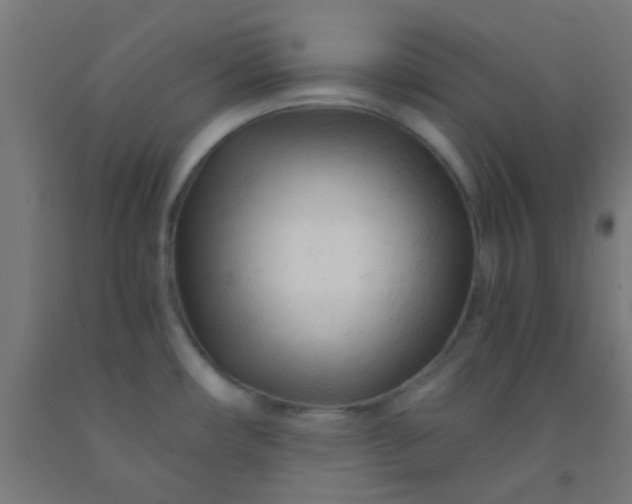 X0000092311482200709281336