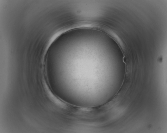 X0000092311483200709281336