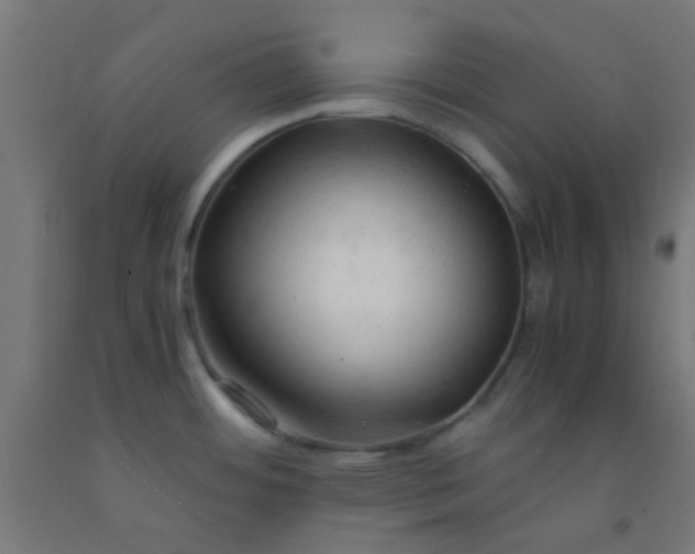 X0000092311484200709281336