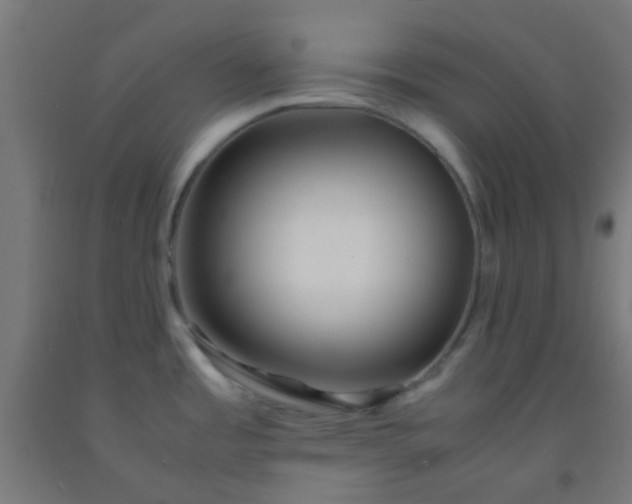 X0000092311485200709281336