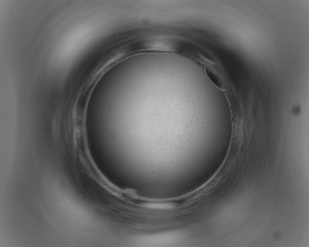 X0000092311487200709281336