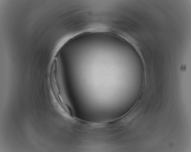 X0000092311488200709281336