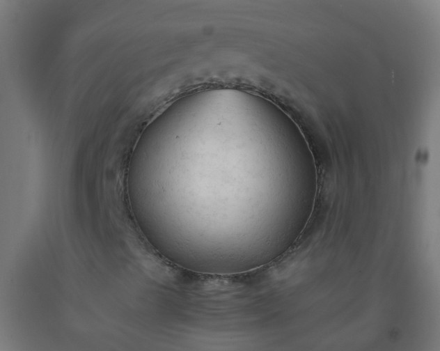 X0000092311489200709281336