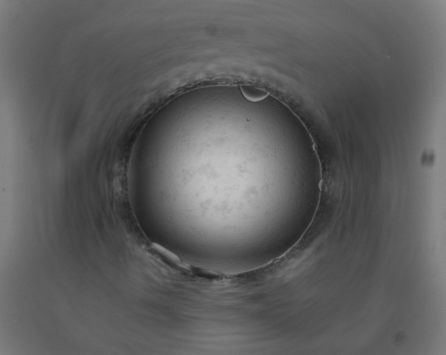 X0000092311490200709281336
