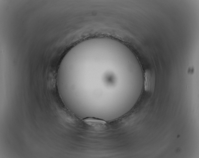 X0000092311491200709281336