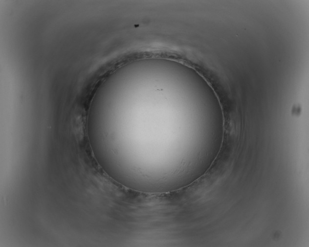 X0000092311493200709281336