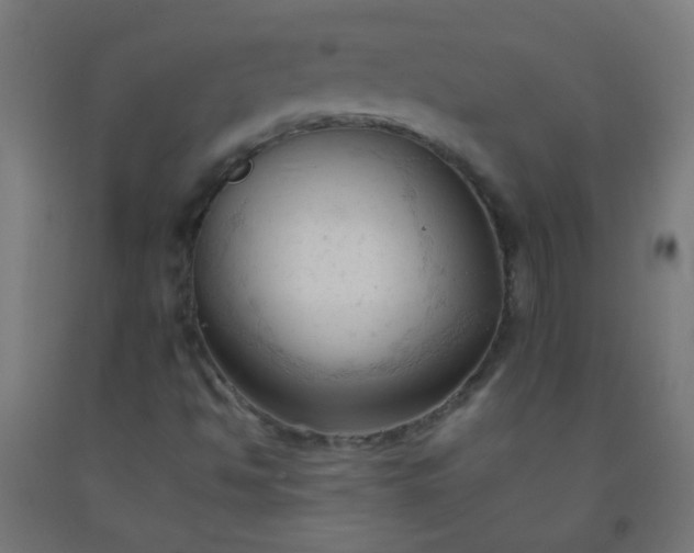X0000092311494200709281336