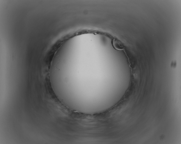 X0000092311495200709281336