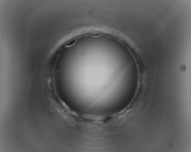 X0000092311496200709281336