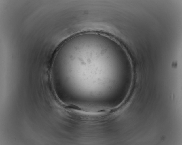 X0000092311497200709281336