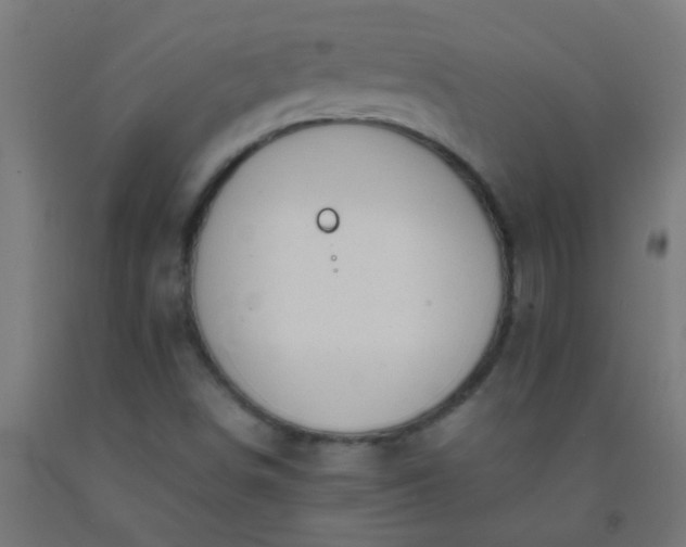 X0000092311498200709281336