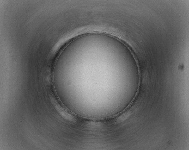 X0000092311499200709281336
