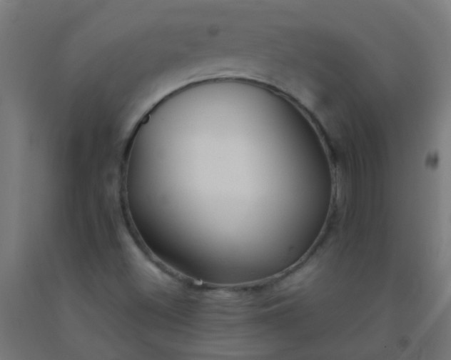 X0000092311500200709281336