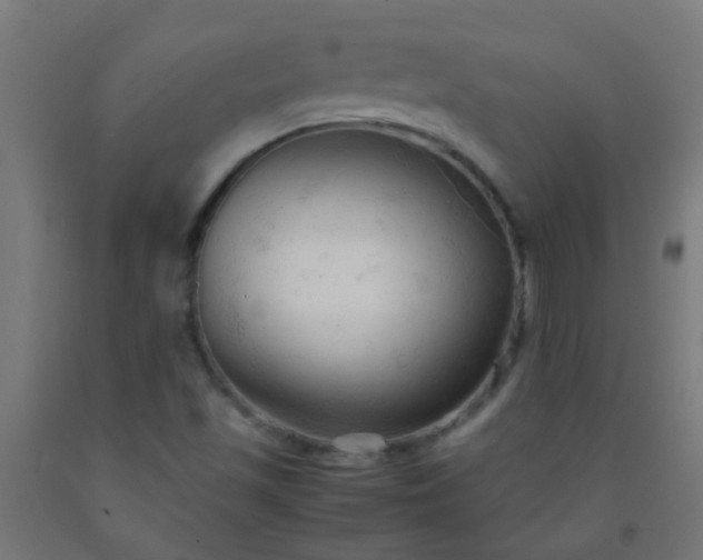 X0000092311501200709281336