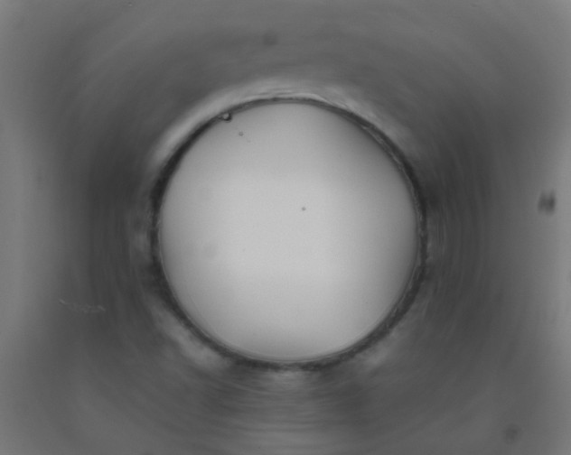 X0000092311502200709281336