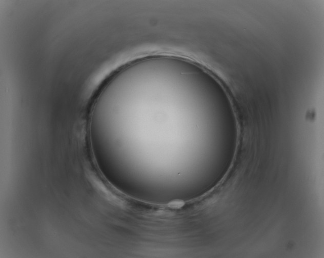 X0000092311503200709281336