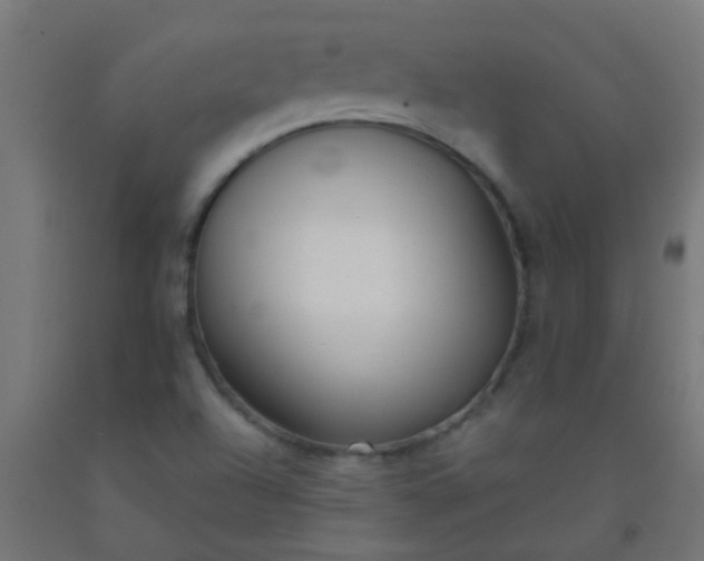 X0000092311504200709281336