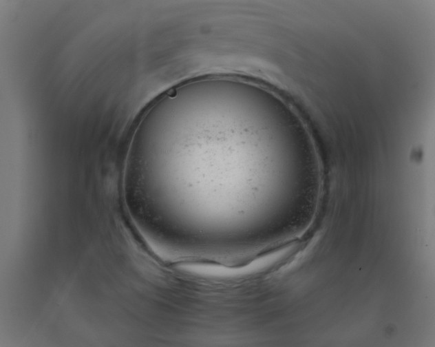 X0000092311505200709281336