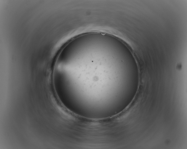 X0000092311507200709281336