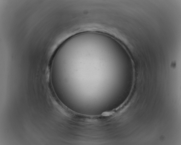 X0000092311509200709281336