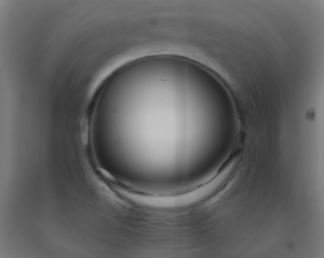 X0000092311510200709281336