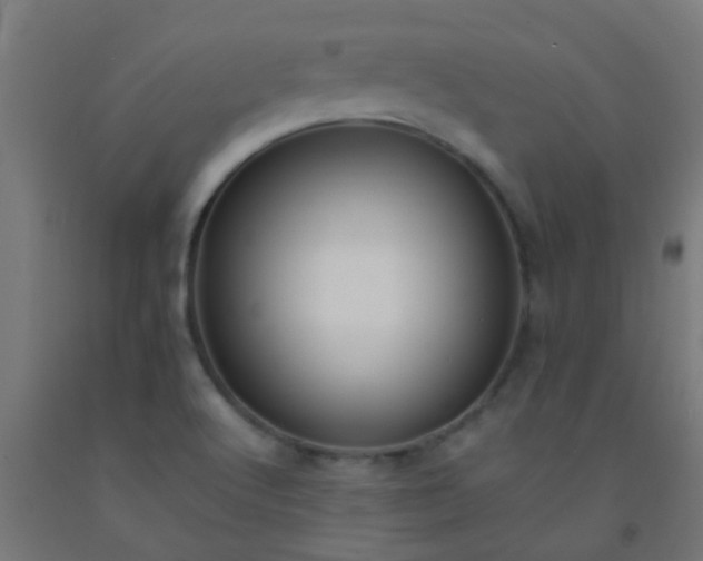 X0000092311512200709281336