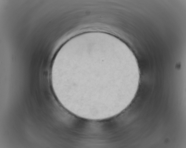 X0000092311514200709281336